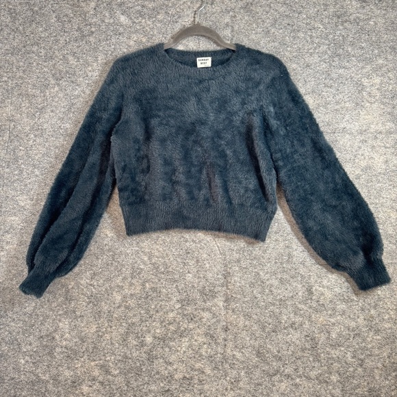 Aritzia Sunday Best Women's Fleece Crewneck Balloon Sleeve Sweater Size Large - Picture 2 of 13